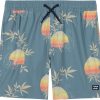 Billabong Boys Layback 4-Way Stretch Swim Trunks with UPF 50+ Sun Protection, Quick Dry Bathing Suit layback 4-way stretch